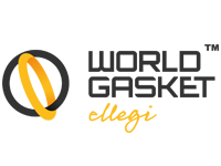 WORLD GASKET
